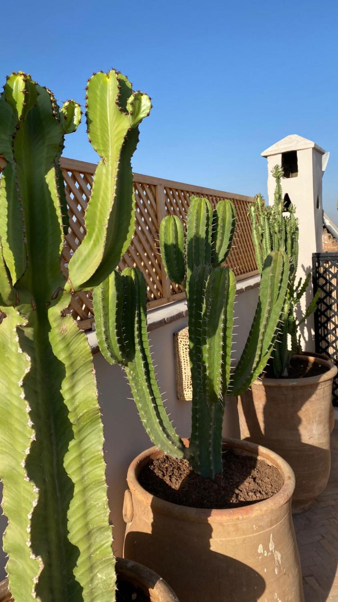 Riad Gasaembre Touareg Marrakesch Exterior foto